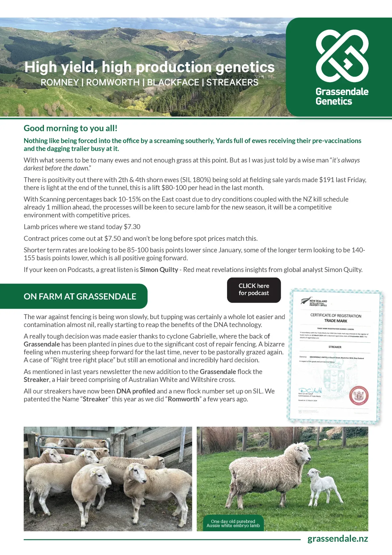 Grassendale Newsletter September 2024